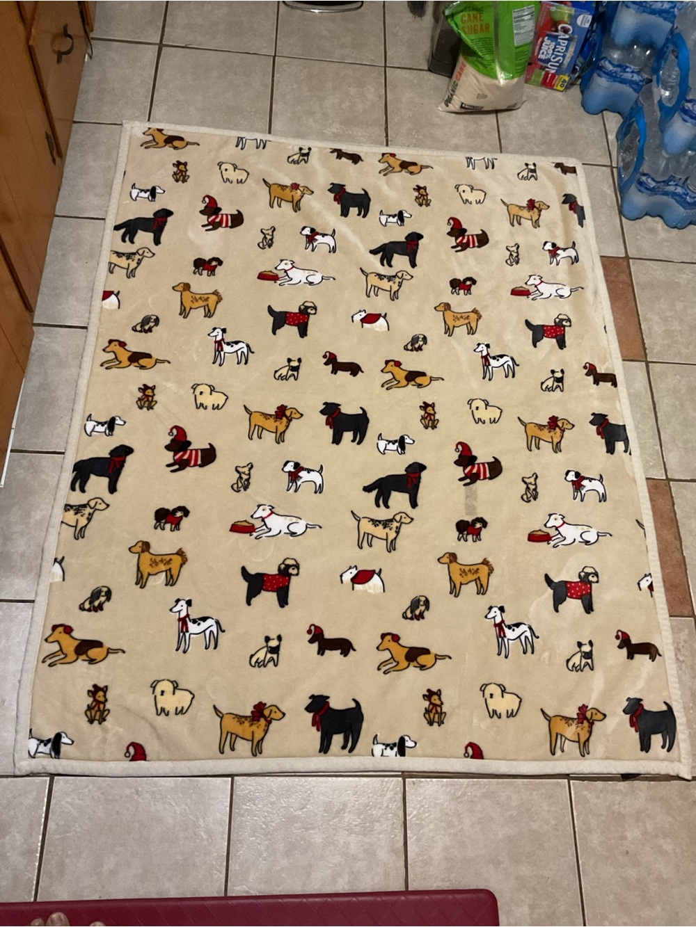 Skip Hop Beige Dog Pattern Pet Mat with Multicolor Pup Accents